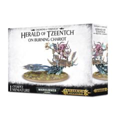 Herald of Tzeentch on Burning Chariot / Fateskimmer / Exalted Flamer 97-20